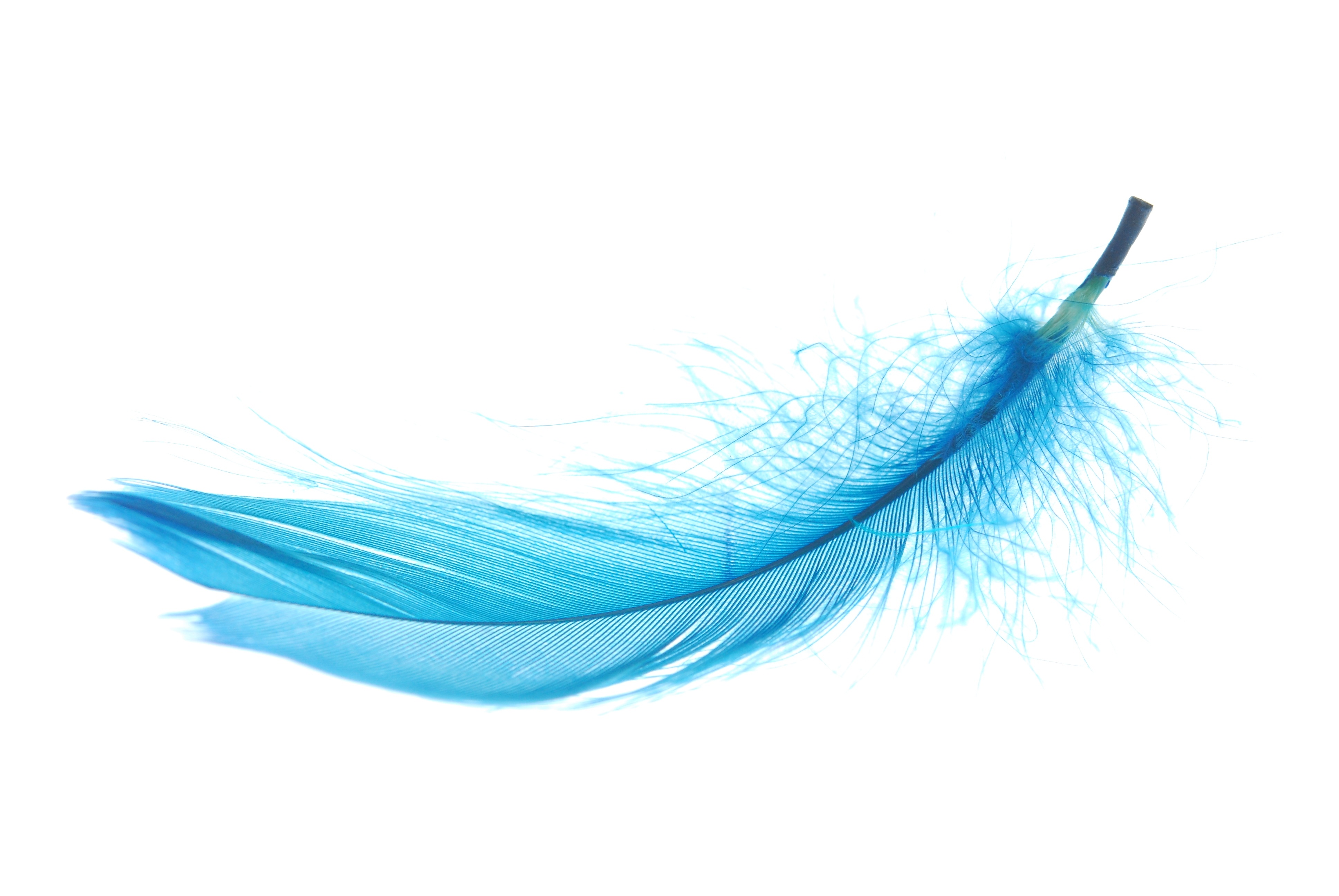 <span id="hs_cos_wrapper_name" class="hs_cos_wrapper hs_cos_wrapper_meta_field hs_cos_wrapper_type_text" style="" data-hs-cos-general-type="meta_field" data-hs-cos-type="text" >A Bird in the Hand</span>